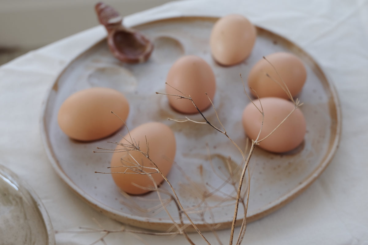 egg