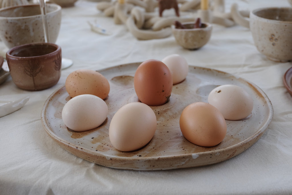 egg