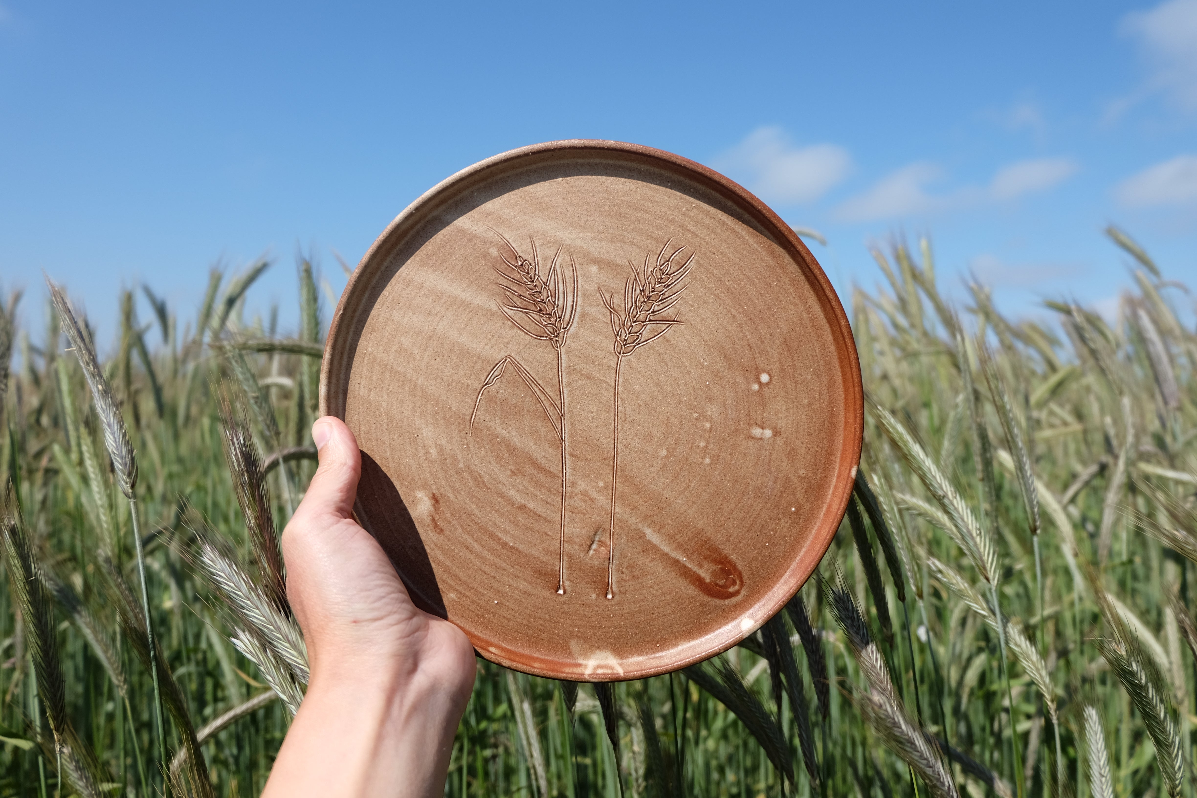 emmer wheat diner plates