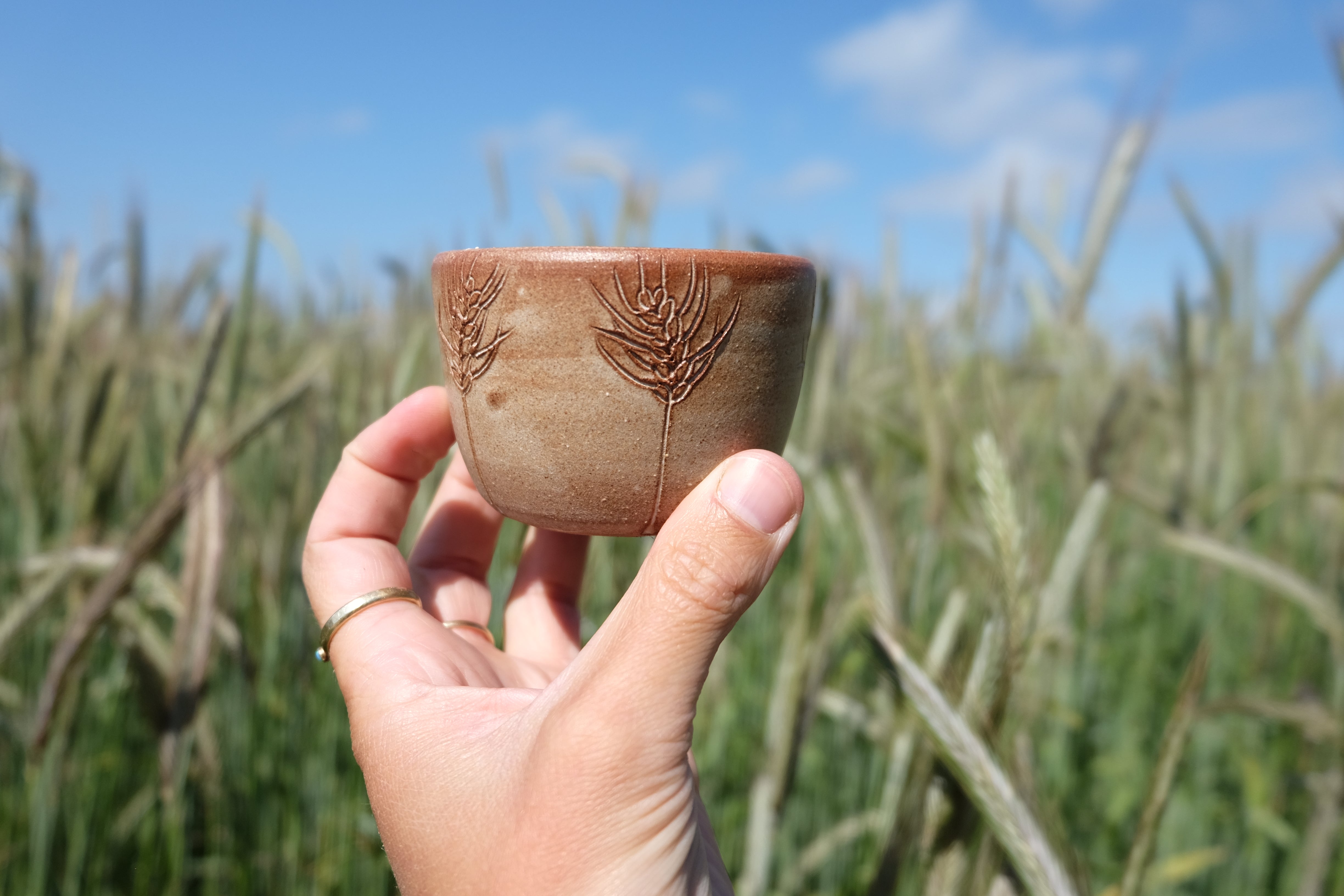 emmer wheat tiny cup