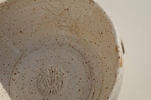 bowl with garlic / ginger rasp