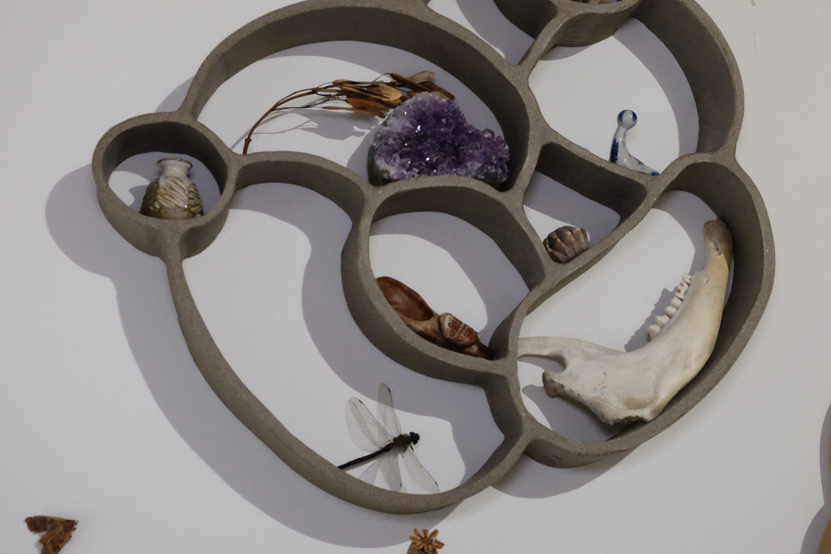 nest