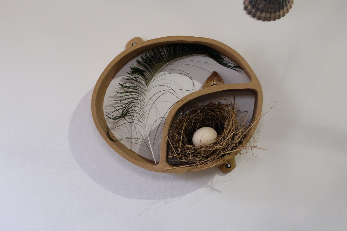 nest
