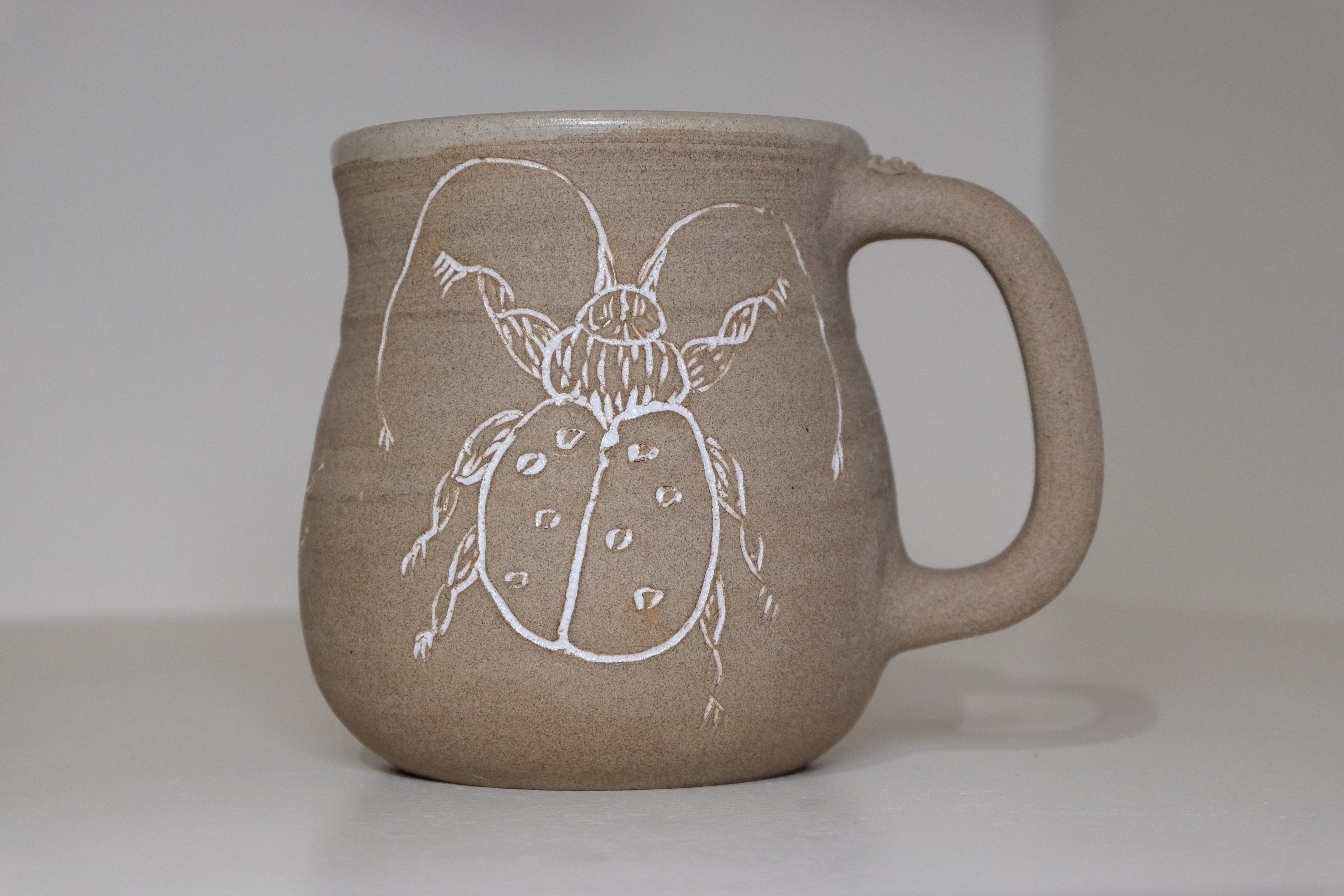big insect mug