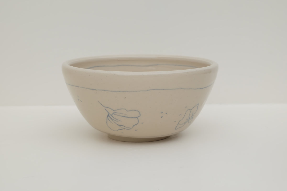 pencil drawing bowl