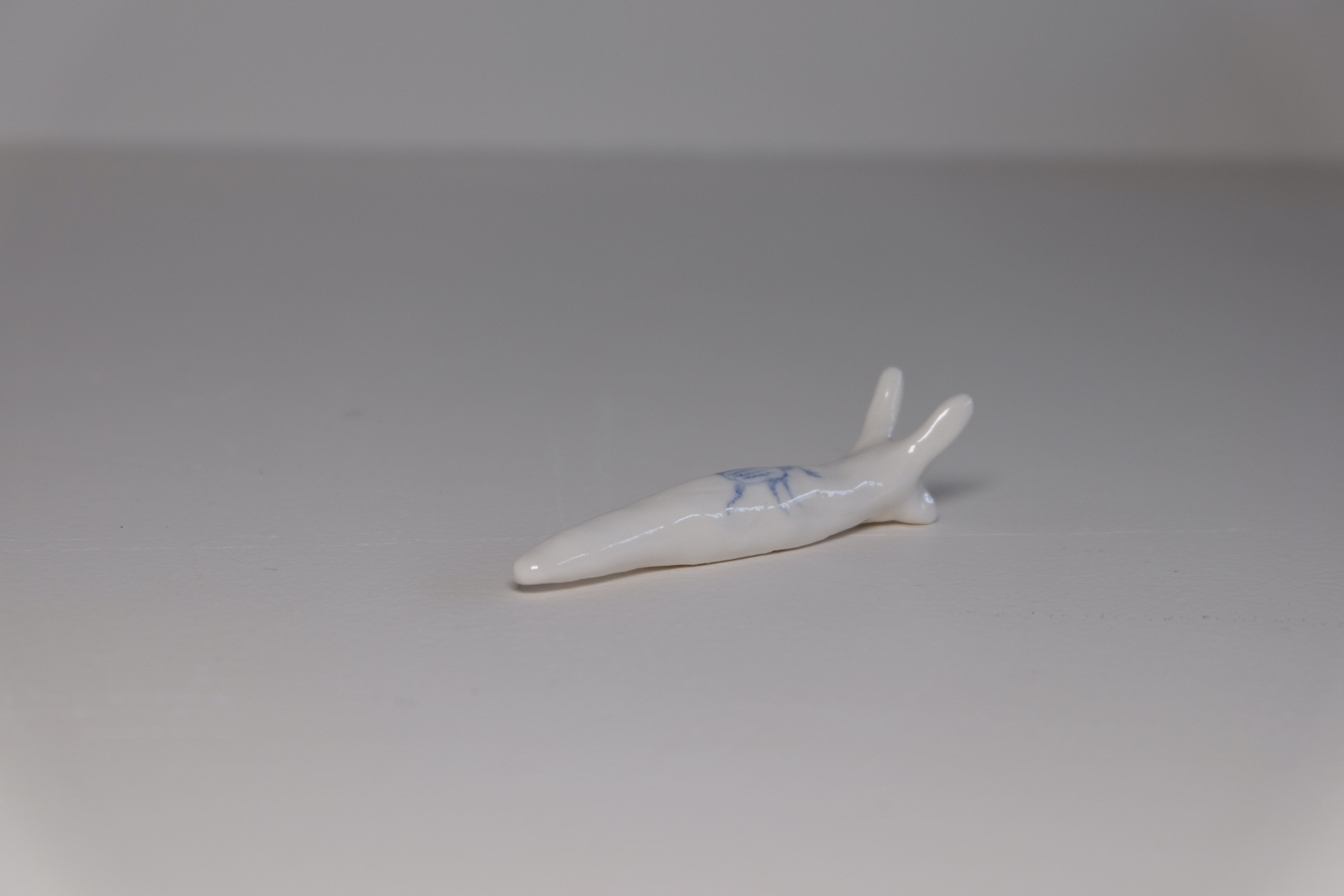 porcelain snail