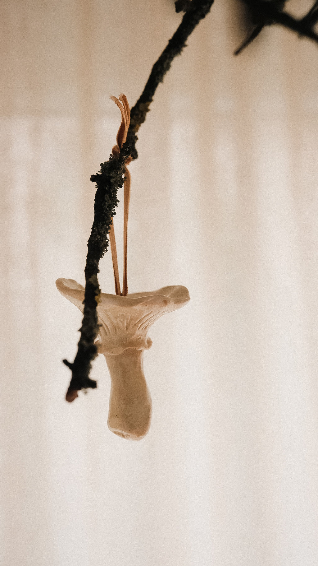 shroom