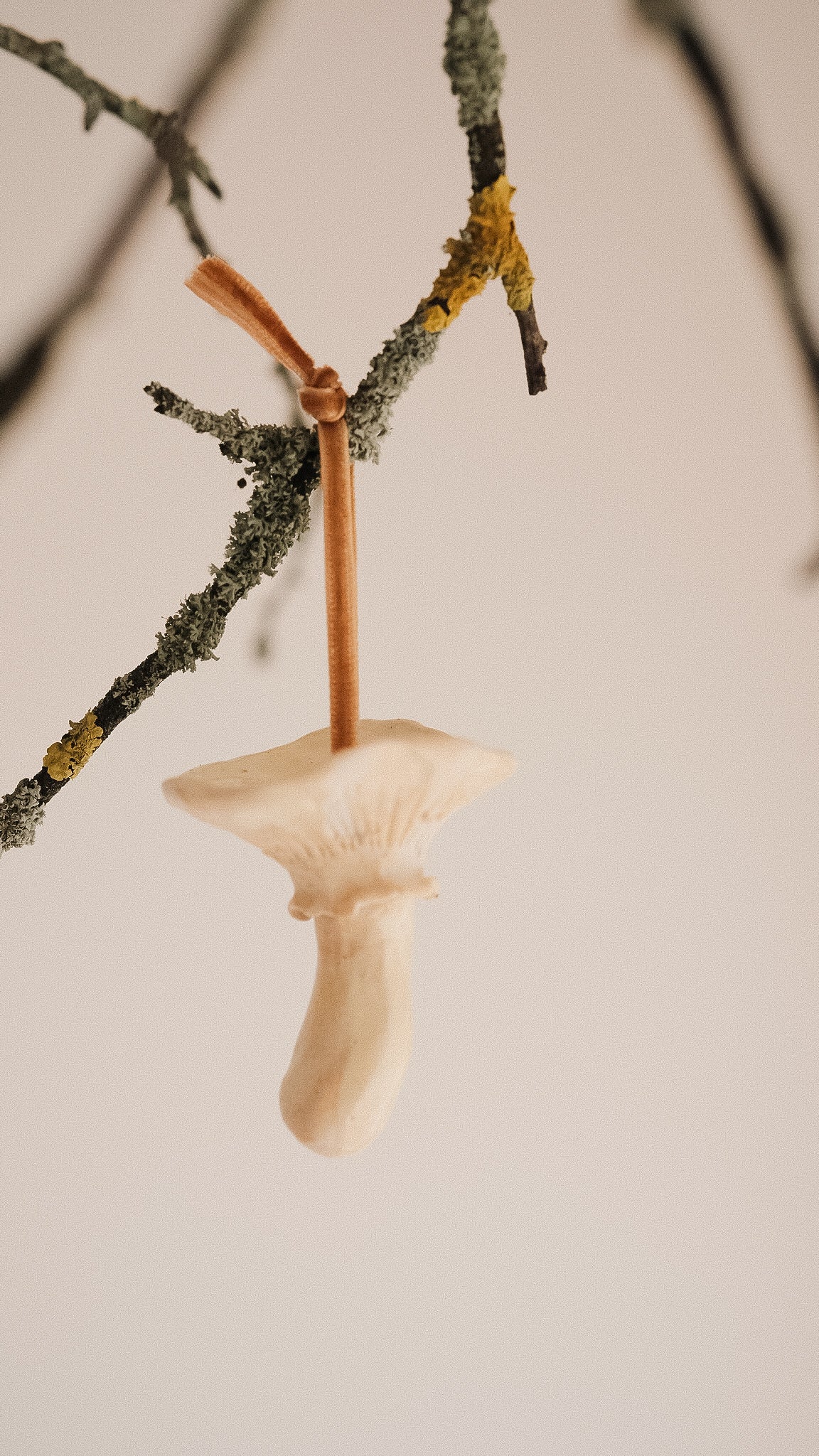 shroom