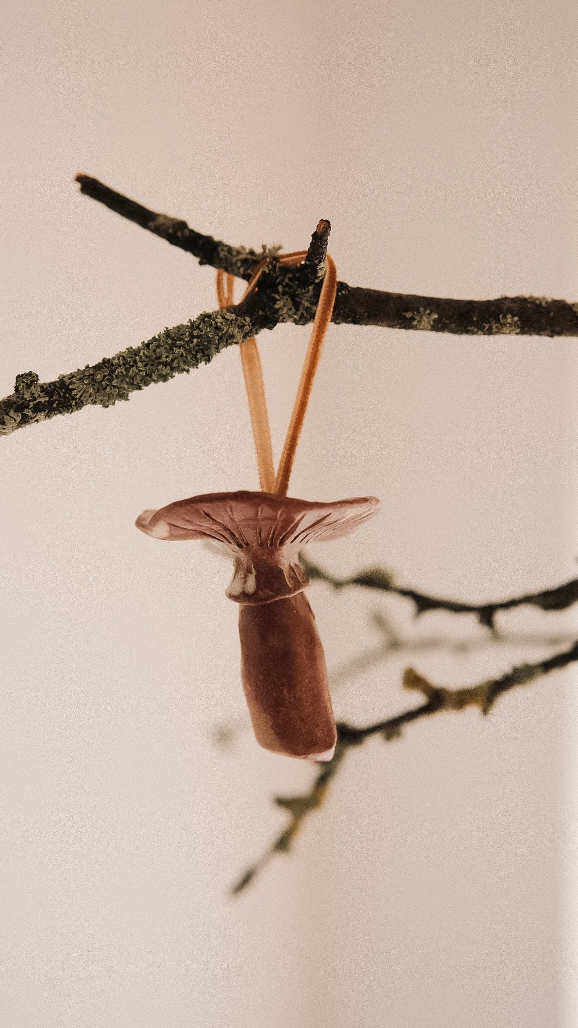 shroom