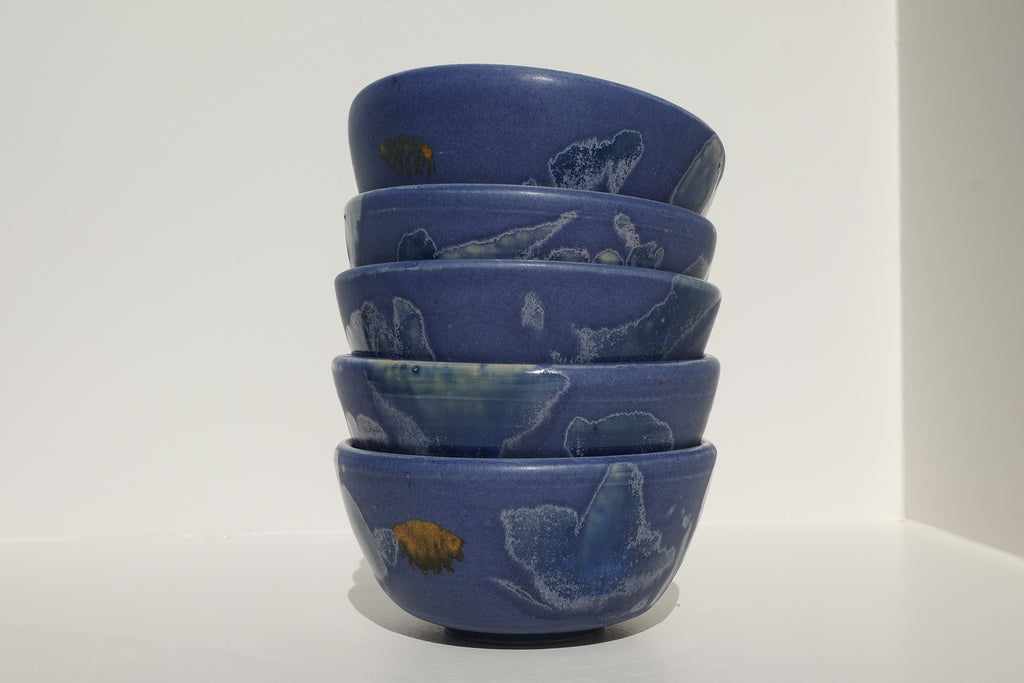blue ash bowl