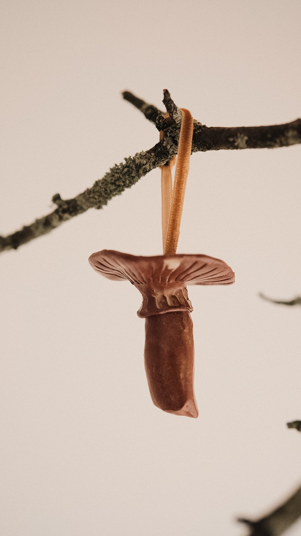 shroom