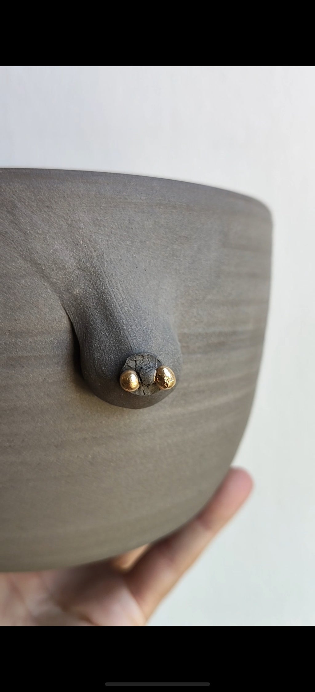 boob planter PRE-ORDER