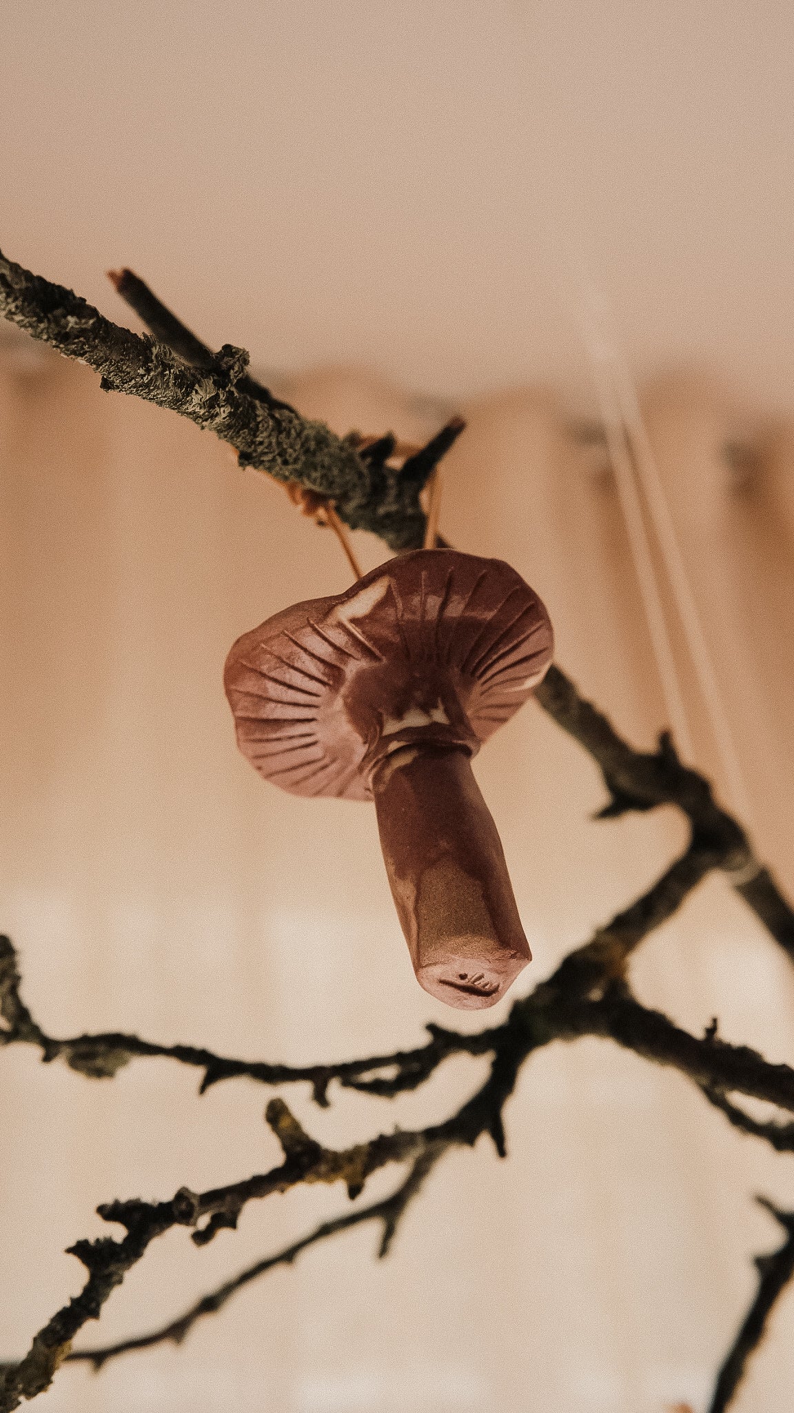 shroom