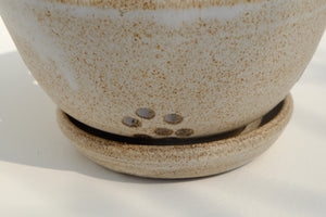 colander with dripping plate