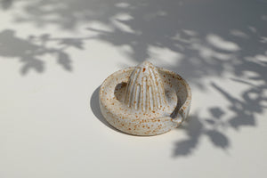 citrus press