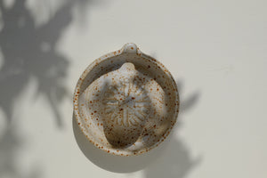 citrus press